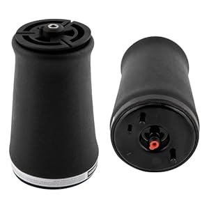 DZWDY Luftfederung Hinten Links + Rechts (1 Paar)