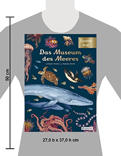 Das Museum des Meeres: Eintritt frei!: 12