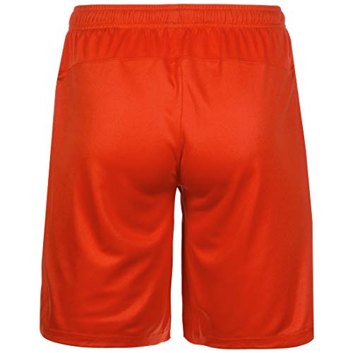 Puma Men Liga Shorts, Red/White, L #TOP2