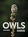 Owls: Nocturnal Birds of Prey from Around the World (Animals in Photographs)