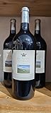 ornellaia 2015 il carisma Formato Magnum: Bottiglia da 1,5 litri, ideale per occasioni speciali, cene con ospiti o per una migliore evoluzione del vino nel tempo