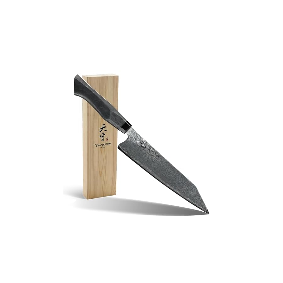 Tenkumun Japanese Gyutou 210mm Profession Santoku Handcrafted 8 inch Chef Knife Handmade Forged Knife Japan SG2 Powder Steel with Black Wood Handle