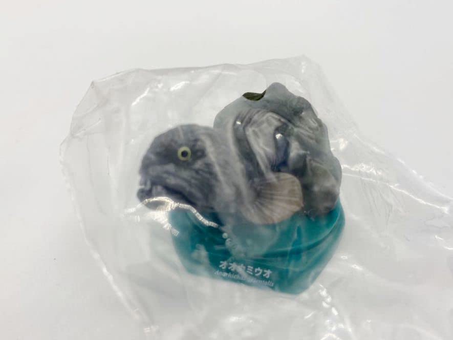 Amazon.co.jp: 水族館限定 オオカミウオ 海洋堂 日本の水族館