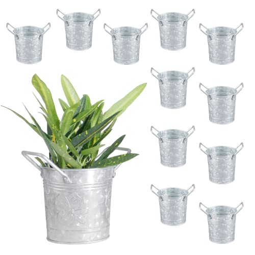 Wh Walford Home Décor - Galvanized Metal Flower Pot Planters With Handles – Rustic Small Metal Buckets - Vintage Style Country Wedding/Table Centerpiece Decorations, 4 Inch, Set Of 12 #TOP15