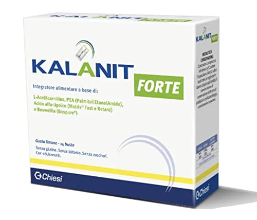 Kalanit Forte 14 Bust.