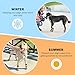 SCENEREAL Dog Socks to Prevent Licking Paws for Hot/Cold Pavement, Anti Slip Long Dog Grip Socks for Hardwood Floors, Dog Shoes Booties&Paw Protector for Small Medium Large Senior Dog, Khaki S
