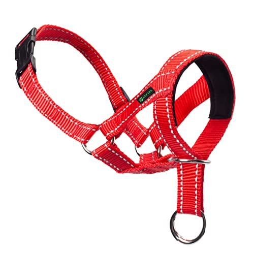 COLORI BRILLANTI: L'intera cavezza del cane è caratterizzata da colori brillanti. Blu, rosso, giallo. 3 colori a scelta. Potrai trovare facilmente e in ogni momento il tuo cane.
