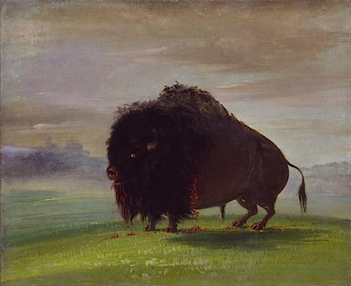 Lienzo decorativo para pared SERENDIPITP: Cuadro George Catlin