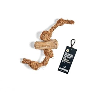 Hundekauspielzeug aus Kaffeeholz und Kokosseil | Nachhaltiges Hundespielzeug | Zahnpflege (M)