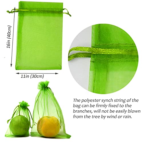 Miuezuth 50Pcs Fruit Protection Netting Bags For Fruit Trees, 16X11 Inch Garden Mesh Barrier Bags To Protect Plants From Pest Birds Squirrels, Fruit Cover Mesh Bag With Drawstring, Reusable, Green #TOP2