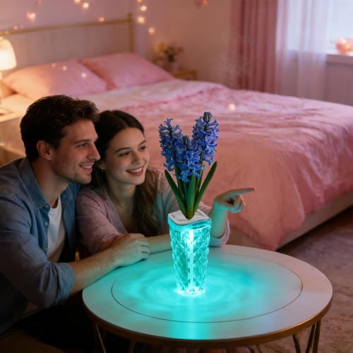 Humidificateur pour air sec solution silencieuse avec éclairage d'ambiance relaxant