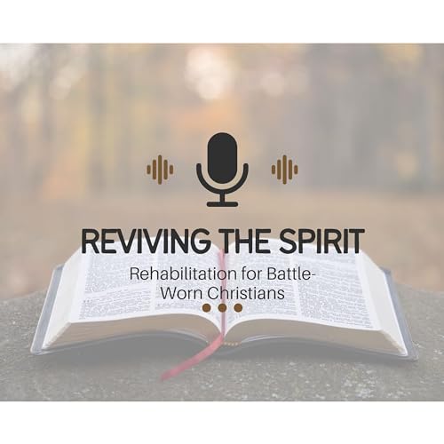 Reviving the Spirit: Rehabilitation for Battle-Worn Christians cover art