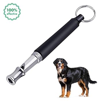 Robert Frost; Stopping By Woods On A Snowy Evening