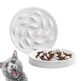 Deioxhy Slow Feeder Cat Bowl to Slow Down Eating Training,Anti Choking Gulping Bloat Indigestion...