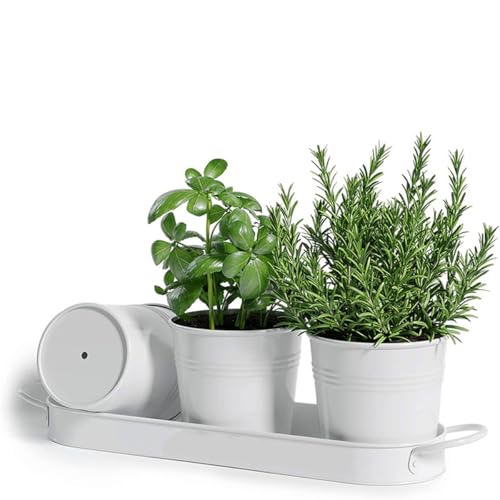 BSTMOME Herb Pot Planter Set with Tray for Indoor Garden Outdoor Use, Decorative White Metal Succulent Pots Windowsill Planter Pots for Kitchen Grow (White)
