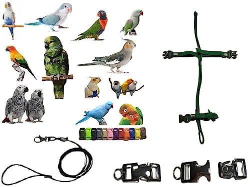 Arnés para loros sin escapes: cuerda elástica de 3 mm para Lori Arcobaleno 6