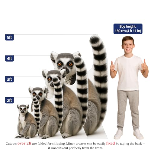 Image of Ring-Tailed Lemur 3FT Life Size Cardboard Cutout - A Fun Animal Standup for Photo Booths, Birthday Parties, and Events