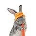 BESPORTBLE 2pcs Guinea Pig Hamster and Rabbit Hat Adorable Orange Pet Costume Accessory for Small Animals for Parties Role-Playing and Christmas Celebrations