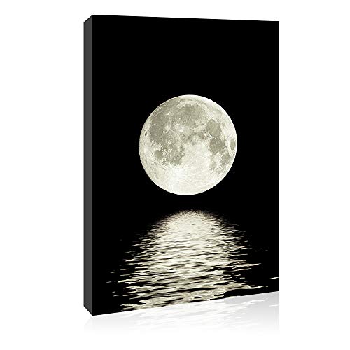 DINGDONG ART Black and White Space Photo Painting for Home Office Decor -...