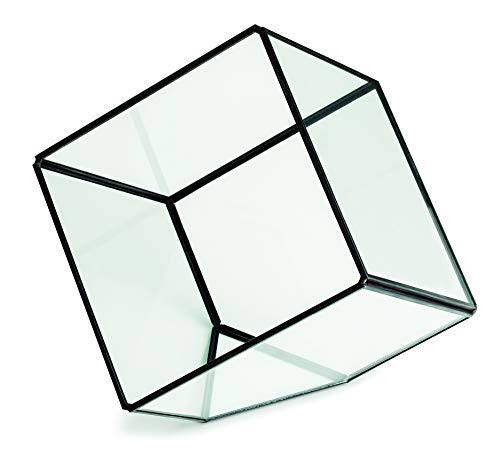 Terrário Preto Em Vidro E Latão Mart Preto