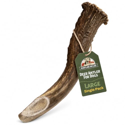 Heartland Antlers Whole Deer Antler Dog Chew for Aggressive Chewers
