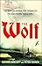 The Wolf: The Mystery Raider That Terrorized The Seas During World War I