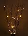 Lightshare 30Inch 20LED Natural Birch Berry Branch Light, Red Berries, Warm White Light,Battery Powered for Home Decoration