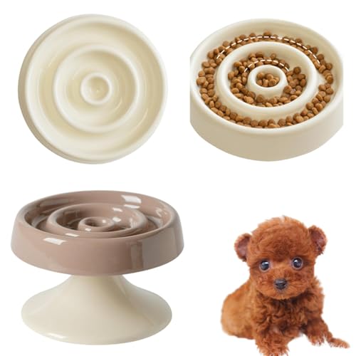 Lifetips eB[Jbvv[h eB[Jbvv[ Lp X[t[h{E ؐ Hh~ ~ HZbg ^ L  􂢂₷ i-̌^^CvJuEj