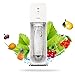 Produktbild iLH Soda Siphon Crystal Sprudelwasserbereiter Carbonator Set-60L CO2-Flasche Und 2 Soda-Flaschen-Nachfüllbarer, Praktischer Und Effizienter Sprudelwasserspender,White