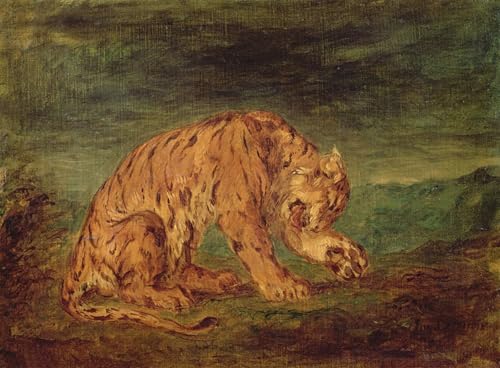 Affiche Tigre léchant une patte Delacroix pour habiller un grand mur vide