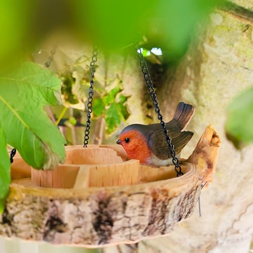 Mangeoire à oiseaux multi-plats rouge-gorge pour observer la nature