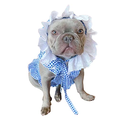 ybgpi lRp p Ch RXvߑ  u[ XJ[gXqt L  ݕt  @\ Ch ʐ^LO B^ σp[eB[ ybgϐg (2XL, u[)