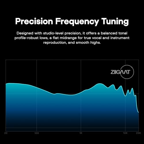 Image of Linsoul ZiiGaat Luna 6BA HiFi in Ear Monitor, Studio Monitor & Stage Performance IEM Earphones with Fast Response, Wide Soundstage, and Reference Clarity, Detachable Silver-Plated OFC Cable