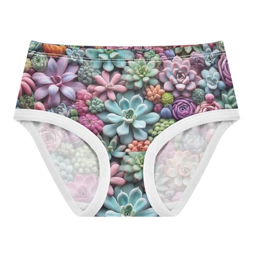 Girls Underwear Toddler 2t Cotton Little Girl Panties Durable Briefs Kids Undies Colorful Succulents Floral