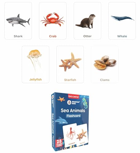 Image of Spartan Kids Flash Cards for New Born Baby, Flash Cards for 1 Year Old Baby and 3+ Year Old Set of 25 Combo Set