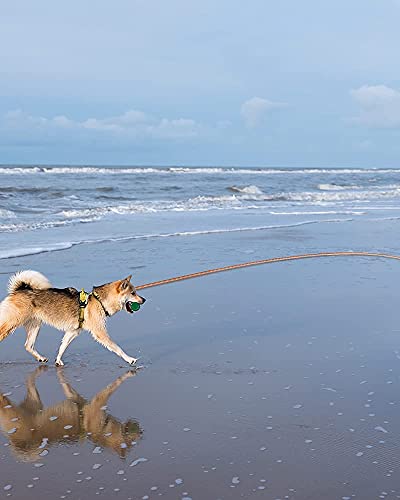 Long Dog Rope Leash For Dog Training 16Ft/30Ft/50Ft/100Ft, Reflective Threads Check Cord Recall Training Agility Lead , Heavy Duty Dog Lead For Large Medium Small Dogs Playing, Camping, Or Backyard #TOP5