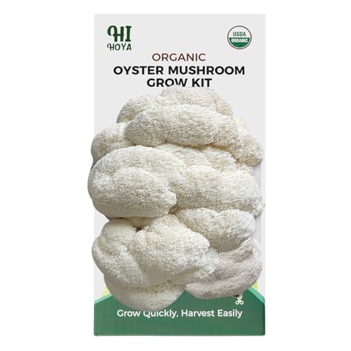 Lions Mane Mushroom Grow Kit - Organic Edible 4 lbs Mushroom Growing Kit Grow Your Own Lions Mane Mushroom at Home Handmade in USA Non-GMO Holiday Gardening Gift