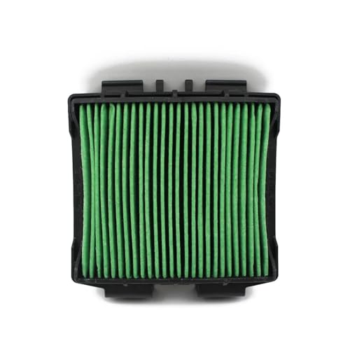 SCDE(ɂ) CRF300L CRF300RL RALLY 2021-2024 GWtB^[iΉ oCNpGACe[NN[i[(Green)