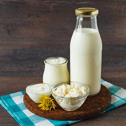 Confezione da 20 Bottiglie di Vetro Vuote da 500