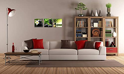 Tutubeer 3 Panel Zen Canvas Wall Art Still Life Spa Stone Green Bamboo White Frangipani Flower Pictures Prints On Canvas For Home Office Kitchen Wall Decor Stretched And Framed Each Panel 20X20Inch #TOP2