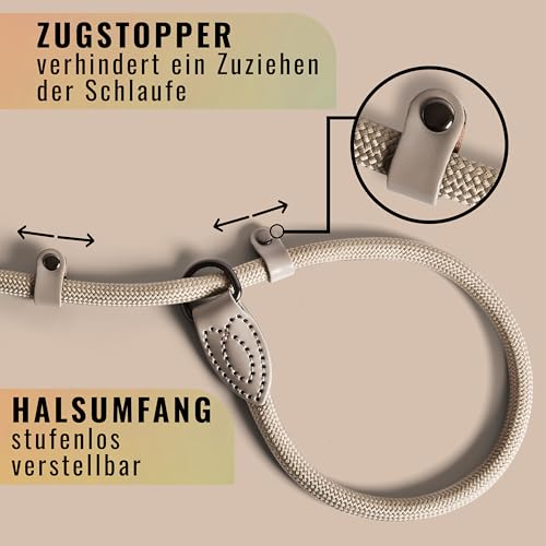Retrieverleine 150 cm für große & kleine Hunde – Halsband mit integrierter Leine – Slip Leash & Trainingsleine Hund – Führungsleine für Labrador & Retriever - Ruckdämpfer (Taupe, ab 15 Kg)