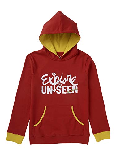 Image of CuB McPAWS be Curious Boys Hooded Sweatshirt