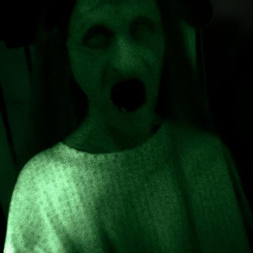 Episodio 1.5 "LA ABUELA DE MI AMIGO" | Gritos Psicofonicos |