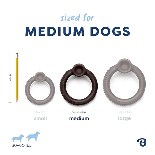Image of Benebone Ring Dog Chew Toy for Aggressive Chewers, Blueberry, Medium | Durable, Super Chewer, Dog Bones, Long-Lasting, A Size for Every Dog, Keeps Them Busy