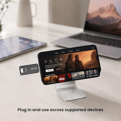 Image of EVM EnC 256GB Type-C USB 3.2 Gen 1 Flash Drive | Impressive 120MB /s Read| Sleek Compact Modern Design | Integrated Convenient Key Loop | Versatile Portable Storage | 10 Years Warranty (ENC /256GB)