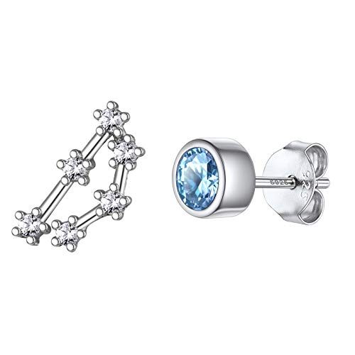 Horoskop Sternzeichen 12 Konstellation Ohrstecker Damen Ohrring Steinbock Ohrstecker Zirkonia Ohrstecker 925 Silber für Damen mit Asymmetrie Monatsstein Ohrstecker Cover