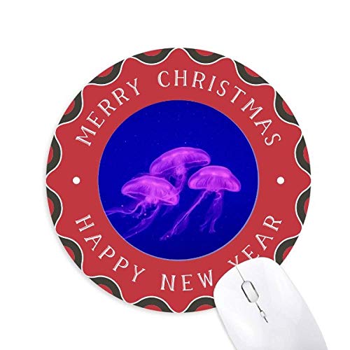 CmNQȊw͎R̎ʐ^ ~`S̃NX}X}EXpbh