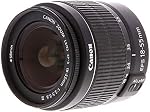 Canon EOS 2000D / Rebelle T7 DSLR Caméra avec 18-55mm Lentille + Ensemble de filtres créatifs, EOS Sac caméra + Sandisk Ultra 64GB Carte + Ensemble de nettoyage électronique, et plus (modèle international) (Renewed)