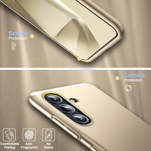 Coque Samsung S24 5G housse plastique dur rigide antichoc