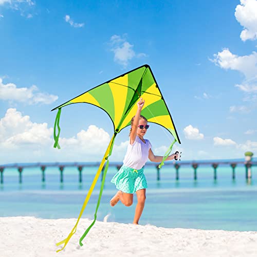 Joyin 2 Packs Large Delta Kite Green And Rainbow Kite Easy To Fly Huge Kites For Kids And Adults With 262.5 Ft Kite String, Large Delta Beach Kite For Outdoor Games And Activities #TOP1